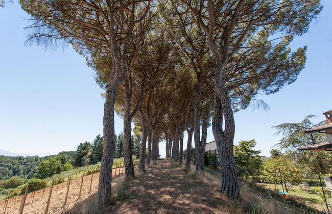 Podere Caldaruccio La Pineta - Foto 72