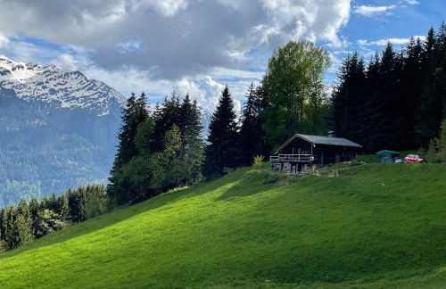 Le petit érable - Vue Mont Blanc - Foto 23