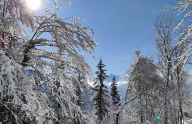 logement entre lac et montagnes - Foto 13