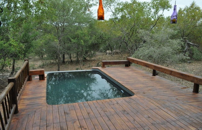 Marloth Kruger Bush Villa - Foto 3