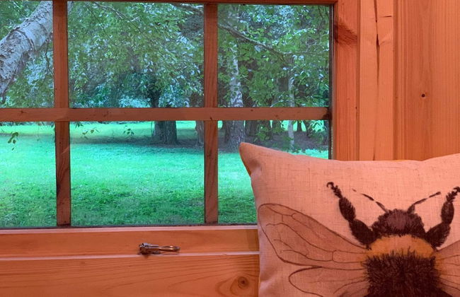 Starry Meadow - Foto 42