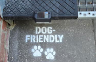 Zentrale Wohnung, Haustiere- und Kinderfreundlich - Foto 50