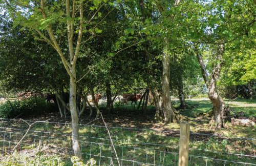 The White Cloud Bus - Foto 14