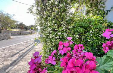 Pantheon Apartments & Studios - Photo 158