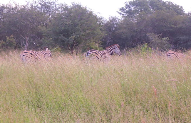 Self Catering Chalets - Manyeleti - Foto 24