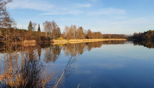 Ferienhaus Waldblick - Foto 4