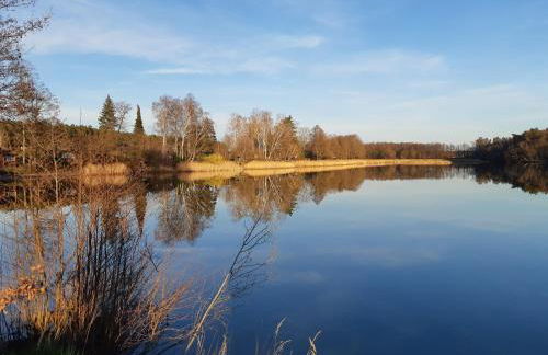 Ferienhaus Waldblick - Foto 4