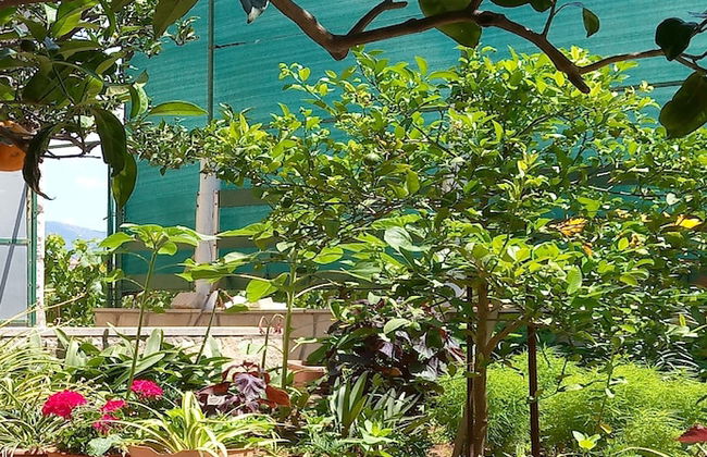 Apartment Kata - Foto 16