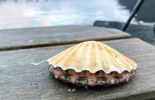 12 Person Holiday Home in Davik - Foto 49