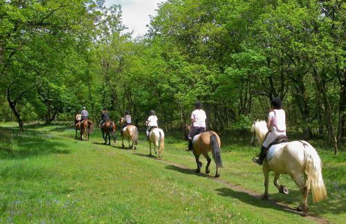 Agriturismo Relais Tenuta il Cigno - Foto 109