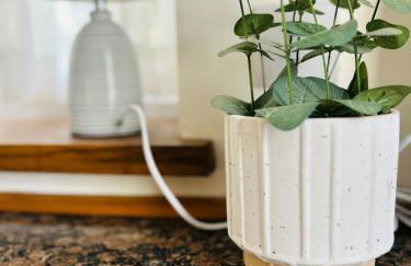 One bedroom converted barn - entire property - Foto 28