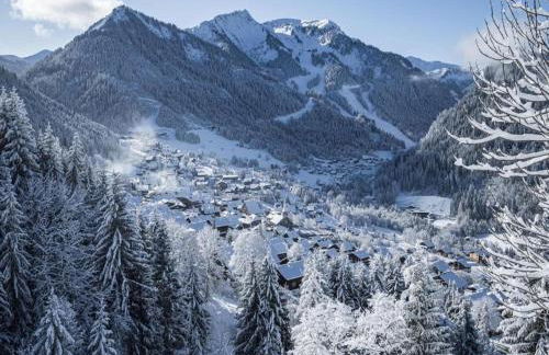 Apartment in Petit Châtel near Cable Car - Foto 15