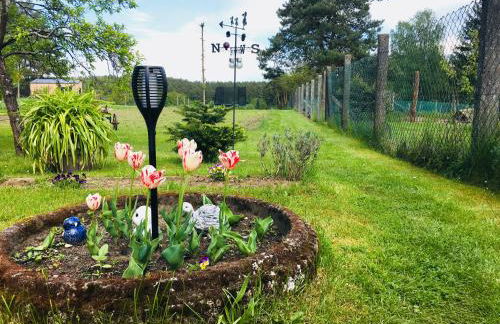 Ferienwohnung Nettelbeck - Foto 15