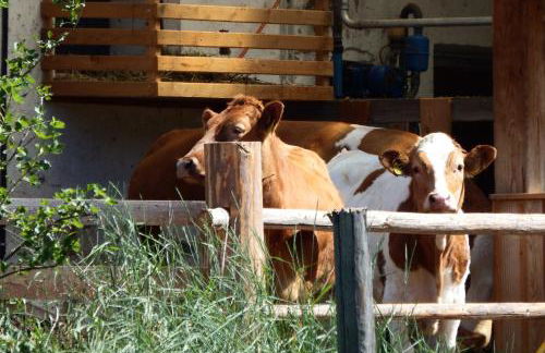 Gasleidhof - Photo 34