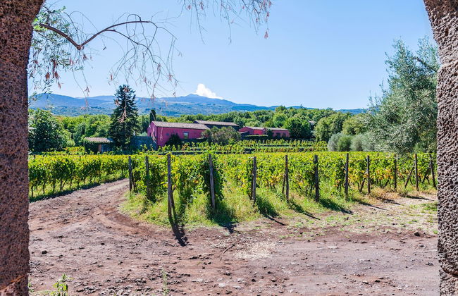 Terrazze dell'Etna - Rooms & Apartments - Foto 50