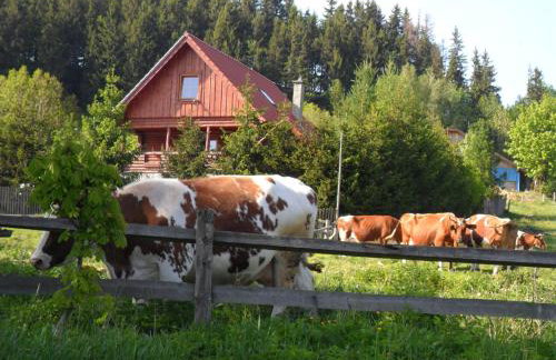 Agroturystyka U Baltazara - Foto 16