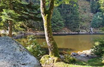 Le Chalet du Tanet spa sauna terrasse en Alsace - Foto 44
