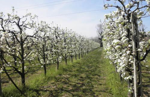Agriturismo Fonte Carra - Foto 31