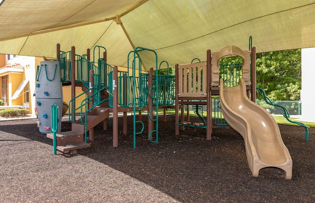 Tropical Lux - Foto 17