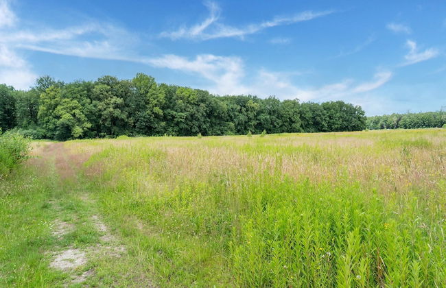 House in Hunzebergen Near Forest Trails - Foto 49