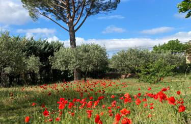 La Bastide de Villecroze - Foto 13