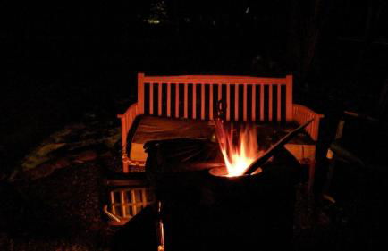 Plant House - Foto 30