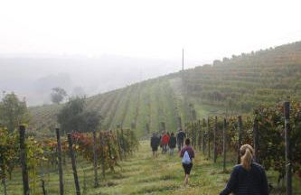 Agriturismo Cascina del Rosone - Foto 12