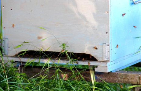 Palazzo Minelli - Foto 71