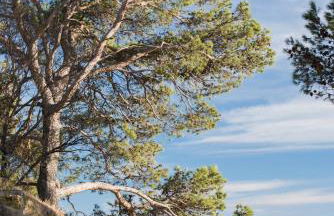 Charmante maison de village au coeur du Luberon - Foto 27