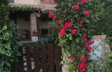 Casa Blanca - Photo 48