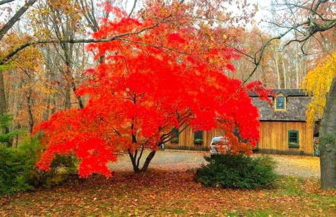 Peaceful Getaway above a Beautiful Yoga Studio near Devil's Den Nature Preserve, Connecticut - Foto 30