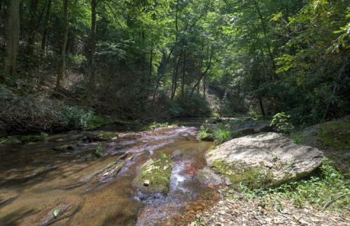 Black Bear Cabin by Carolina Mornings - Foto 37