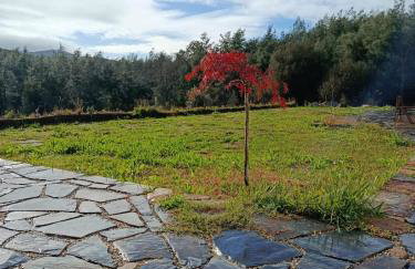 Fragas do Cabril Eco & Wellness Lodge - Foto 76