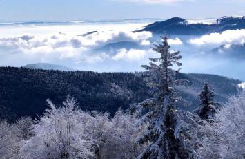 Le gîte de Vitazensel - Foto 36