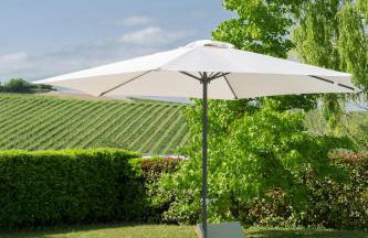 White Tail Organic Farm - Foto 55