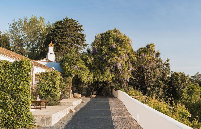 Imani Country House - Photo 37