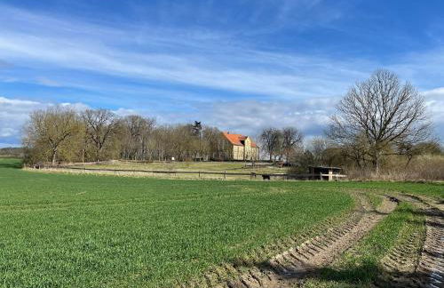 Neu möbliertes 1 - Zimmerapartment mitten in der Natur - Foto 12