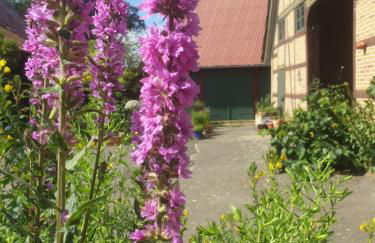 radlerunterkunft Grabau Nr.1 - Foto 25