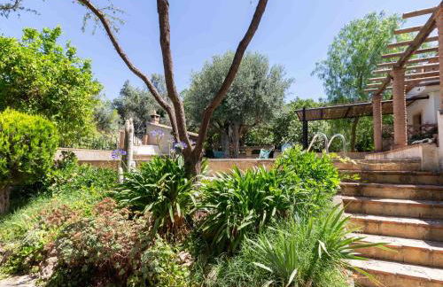 Viña Chica - Foto 33