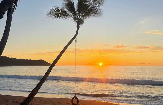 Kinkajoungalows - Foto 17