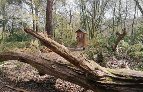 Pebble Cottage - Foto 26