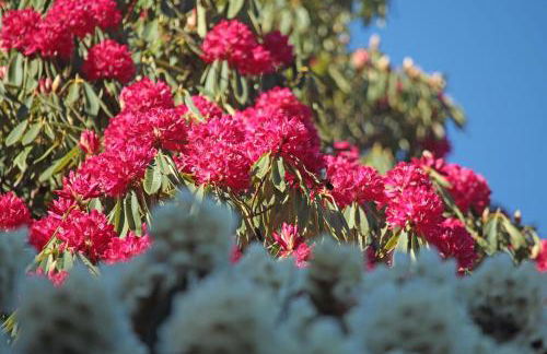 Stables Cottage - Foto 25