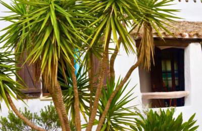 Casa Antele - Foto 8