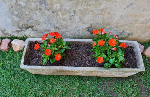 Casa na serra a 10 min de Guaramiranga! Ótima para descanso com conforto e para turismo! - Foto 8
