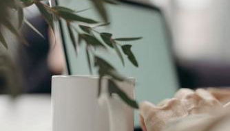 Yuhom, casas con alma, Xacedos 1 - Foto 5