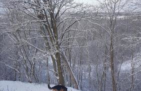 Dom Na Skarpie - Ucieczka Na Wieś - Samodzielne wejście na szyfr, 100m2 - Foto 31