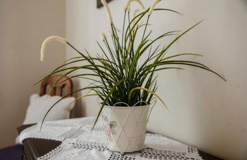 Casa da Avó - Vila do Porto - Foto 15