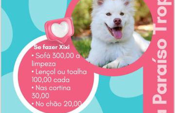 Casa Paraíso Tropical - Foto 12