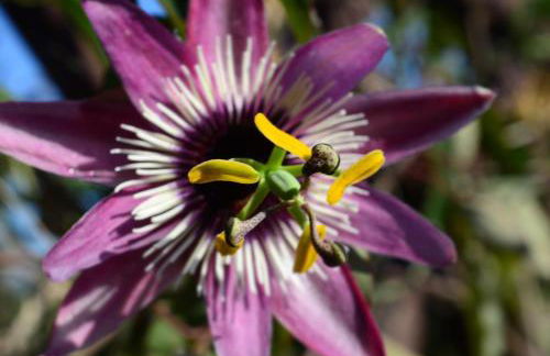 Mythos Holidays & Events - Photo 32