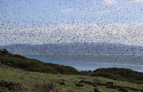 Villetta Il Faro sul Mare - Photo 77